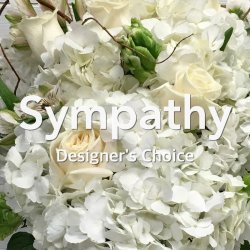 Sympathy Designer's Choice Arrangement  Sympathy Designer's Choice Arrangement