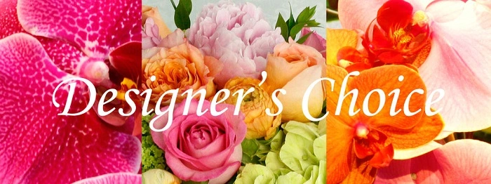 Designer Choice  Designer Choice